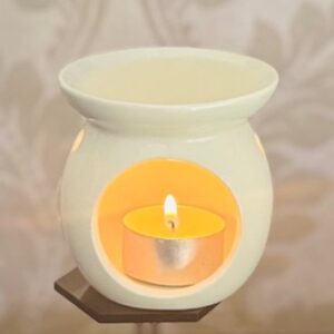Wax Melter/Burner